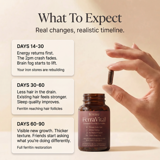 Ferrare™ Ferritin Support Complex